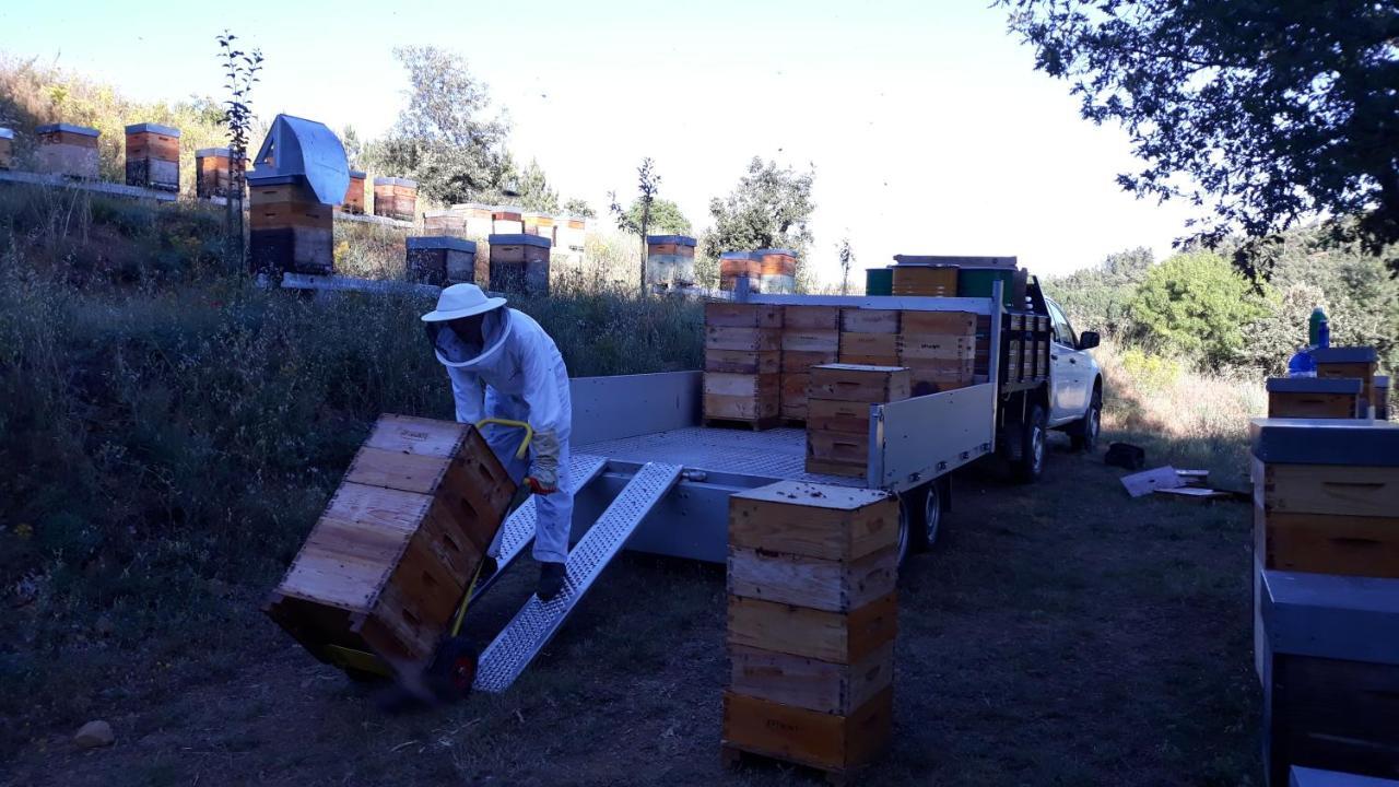 Hébergement de vacances Apimonte Casa Do Serra - Pn Montesinho *